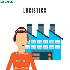 Teb chaws Europe America DDP FBA Amazon Shipping